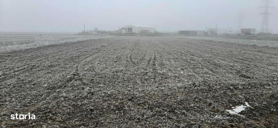 Teren de 6500 mp, în Tărtășești