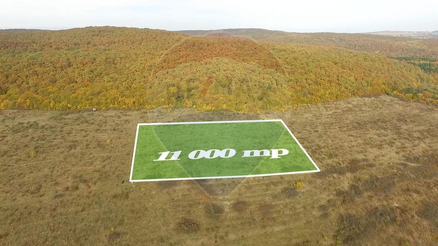 Teren Construcții intravilan de 11000 mp, în Mera