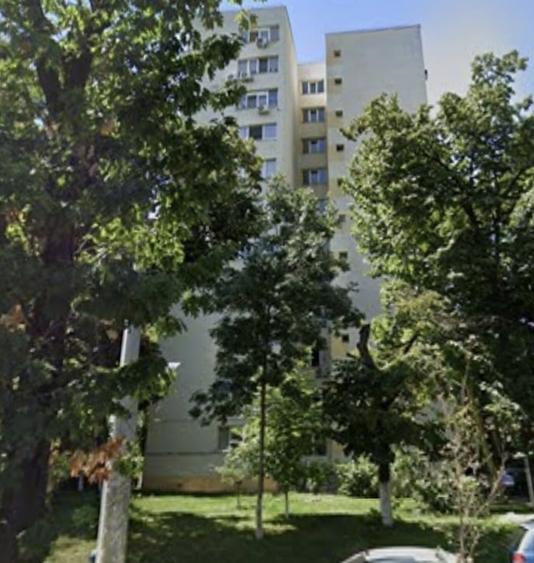 Obor, Colentina, stradal, Teiul Doamnei,12 minute metrou - 1