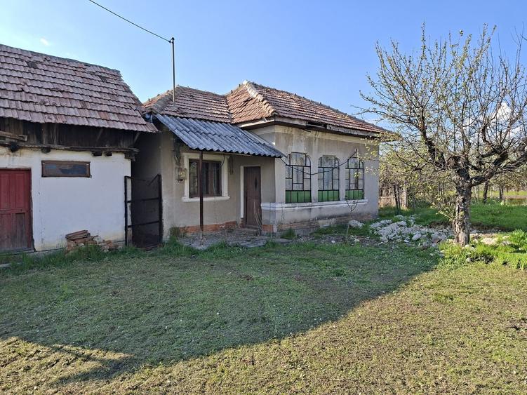 CASA, Livada Samburesti, langa Dragasani, apoape de Pitesti - 8