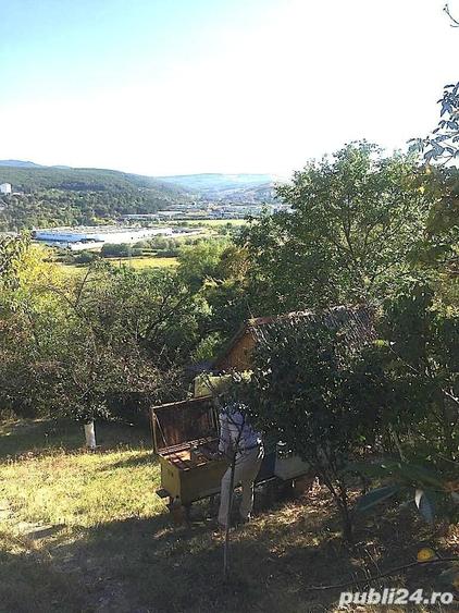 Teren de 700 mp, în Grigorescu