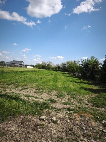Teren agricol intravilan de 1198 mp, în Tărian