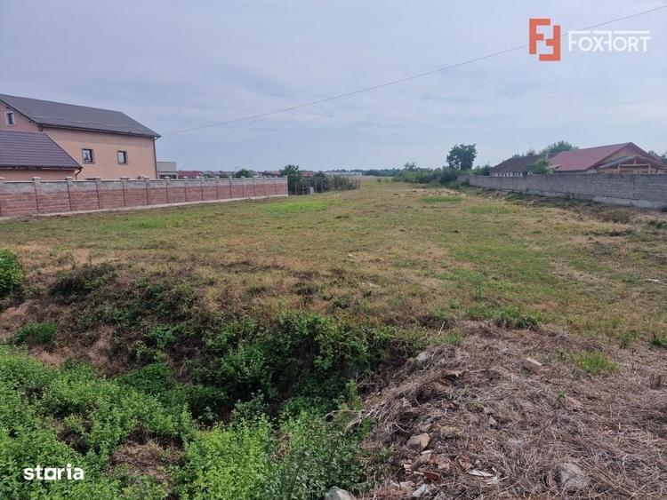 Teren intravilan de 2492 mp de vanzare in Bucovat - 1