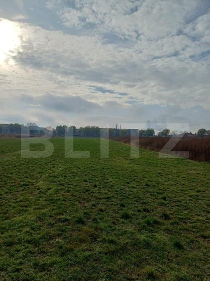 Teren agricol extravilan de 3800 mp, în Est