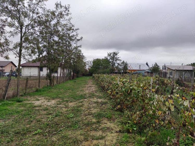 Teren de 3384 mp, în Periș