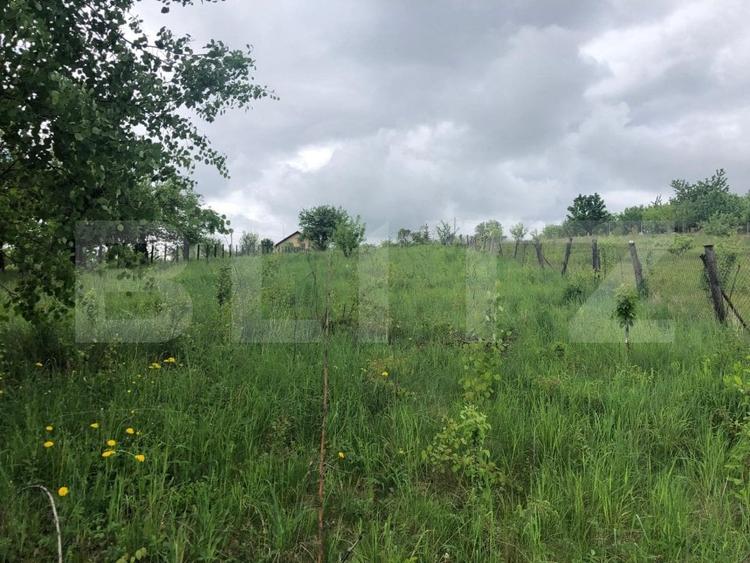 Teren Construcții intravilan de 10656 mp, în Nord