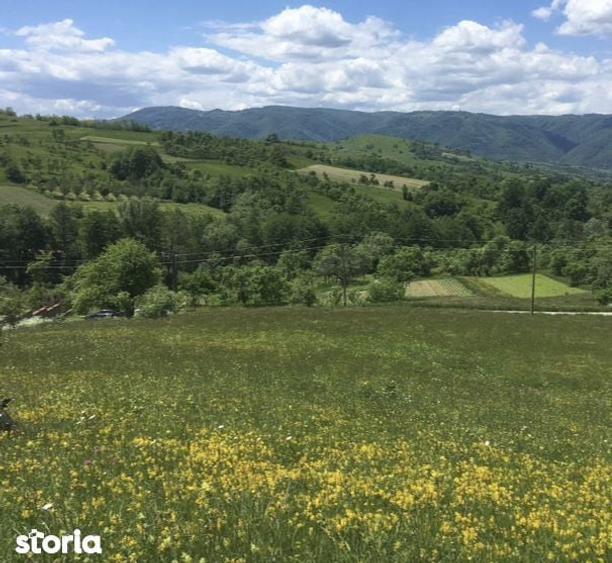 Teren de 879 mp, în Armeniș