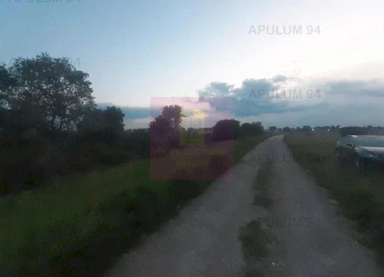 Teren de 3820 mp, în 1 Decembrie