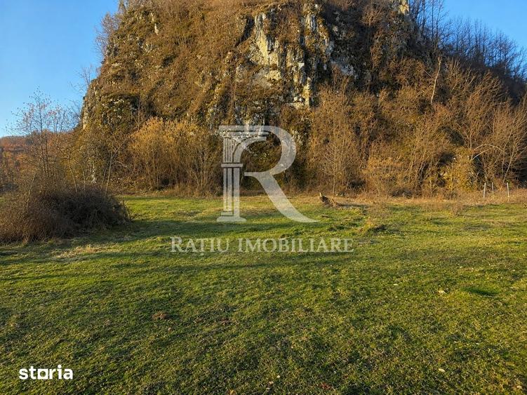 Teren intravilan | Loc de cabana | Balnaca | Bihor - 2