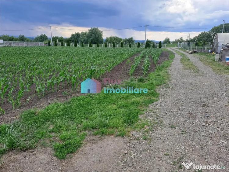 Casă cu 6 camere cu Teren 10000 Mp în Fântâna Mare