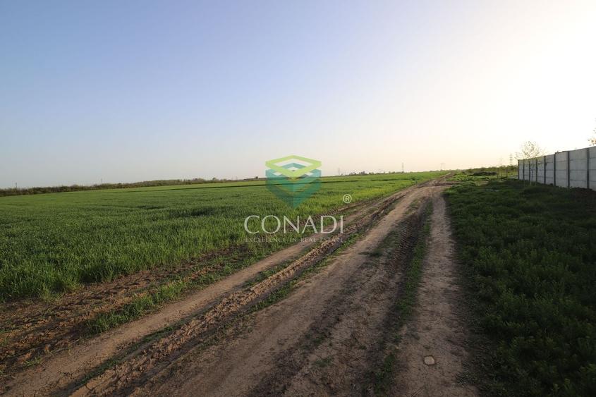 Teren agricol intravilan de 5792 mp, în Clinceni