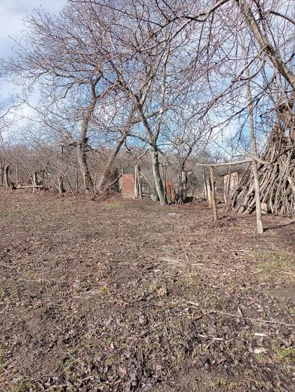 Casă cu 2 camere cu Teren 1000 Mp în Central