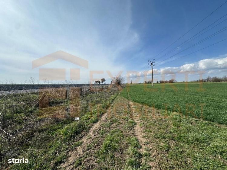 Teren de vanzare 18.000 mp | Deschidere la DN | Ideal investitie - 9