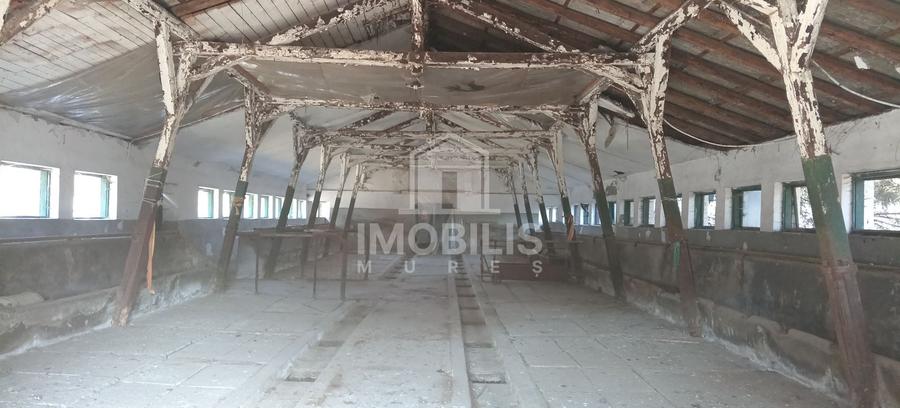 Teren Construcții intravilan de 13134 mp, în Budiului