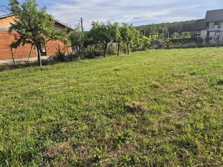 Teren de 820 mp, în Smeura