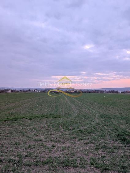 TEREN INTRAVILAN IN LILIECI, BACAU