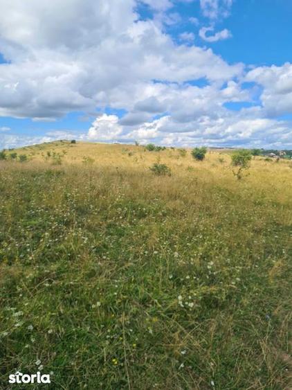 Teren de 2500 mp, în Ciurila
