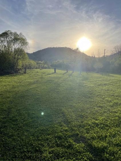 Teren de 2500 mp, în Central