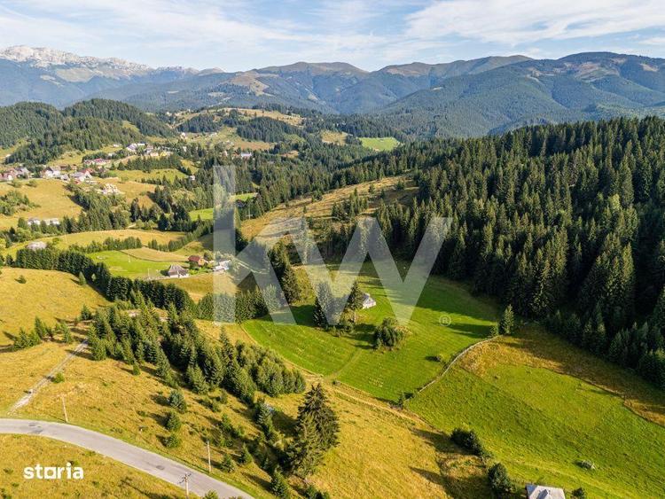 Teren de 18044 mp, în Dâmbovicioara