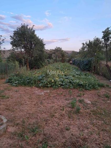 Casa de vanzare, 726Mp La drumul principal Apa, Canalizare