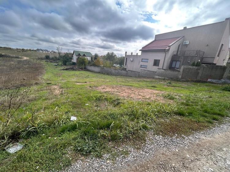 Spațiu comercial, în Pasărea