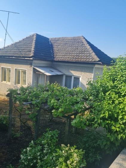 Casă individuală cu 5 camere cu Teren 4500 Mp în Linia (Budești)