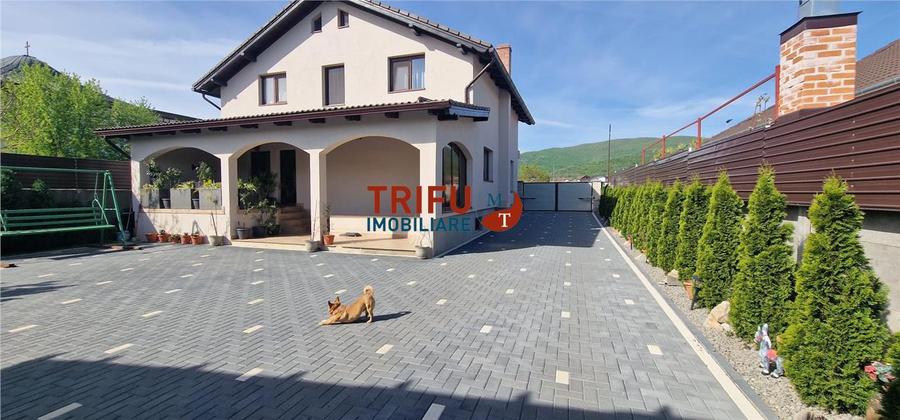 Casă individuală cu 5 camere cu Canalizare în Ampoi 1