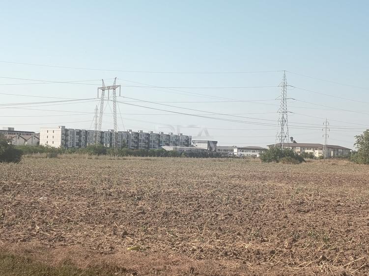 Teren Construcții intravilan de 7050 mp, în Popești-Leordeni