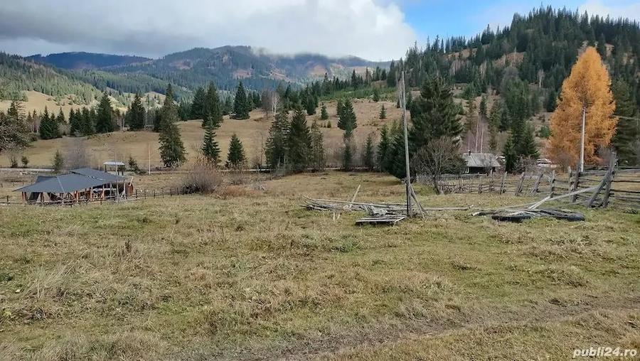 Teren de 18600 mp, în Panaci