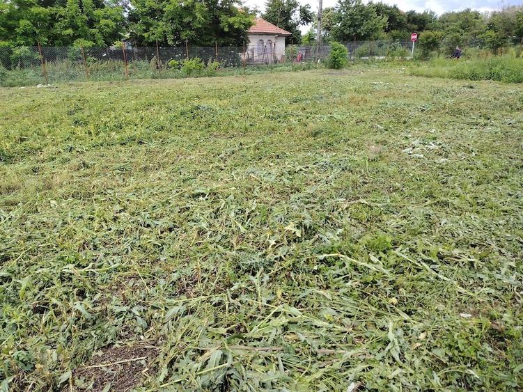 Teren de 5000 mp, în Corbii Mari