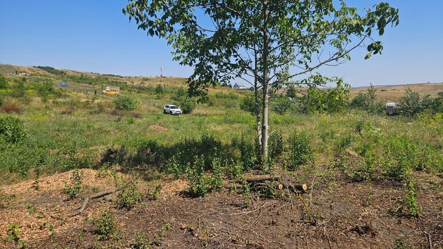 Teren Construcții intravilan de 1801 mp, în Borhanci