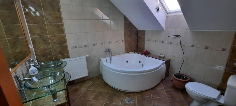 Casă individuală cu 6 camere cu Piscina în Livezeni