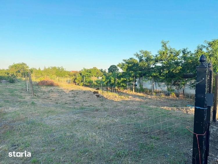 Teren de 1755 mp, în Tileagd
