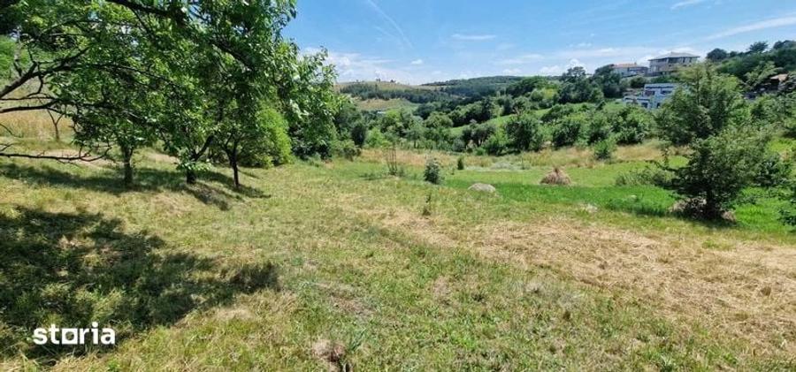 Teren de 1575 mp, în Feleacu