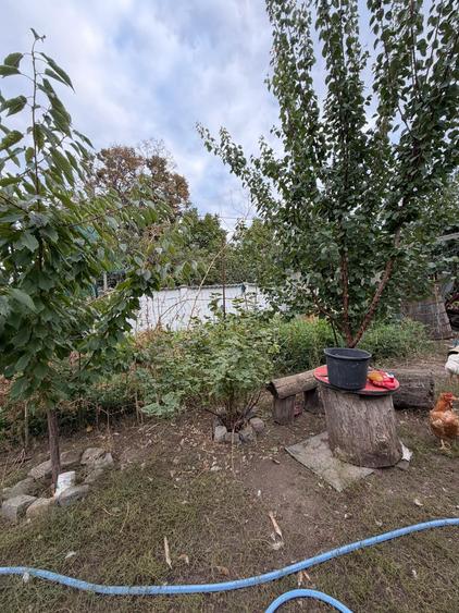 Teren intravilan de 330 mp, în Vest