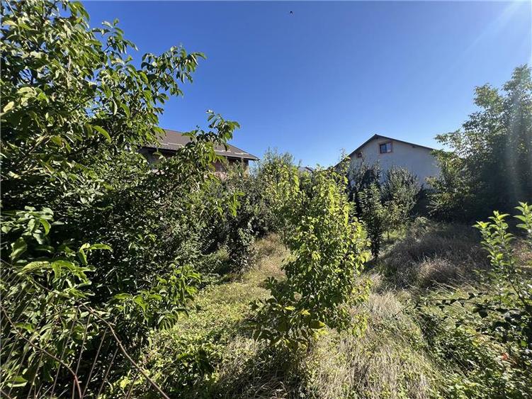 Casa la rosu, de vanzare in Lunca Cetatuii - 3