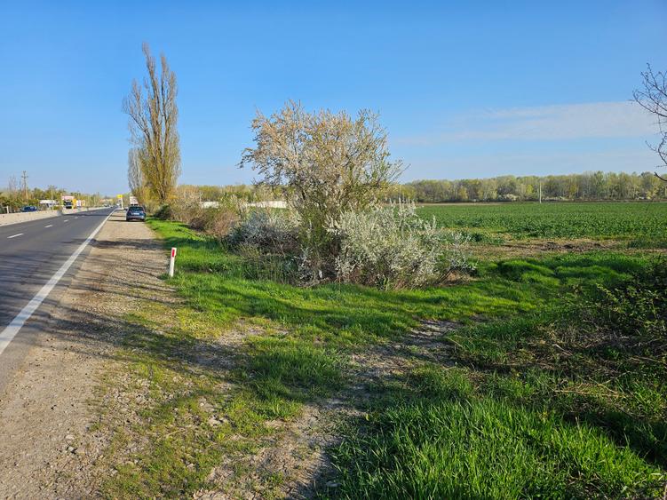 Teren Construcții intravilan de 10100 mp, în Potigrafu