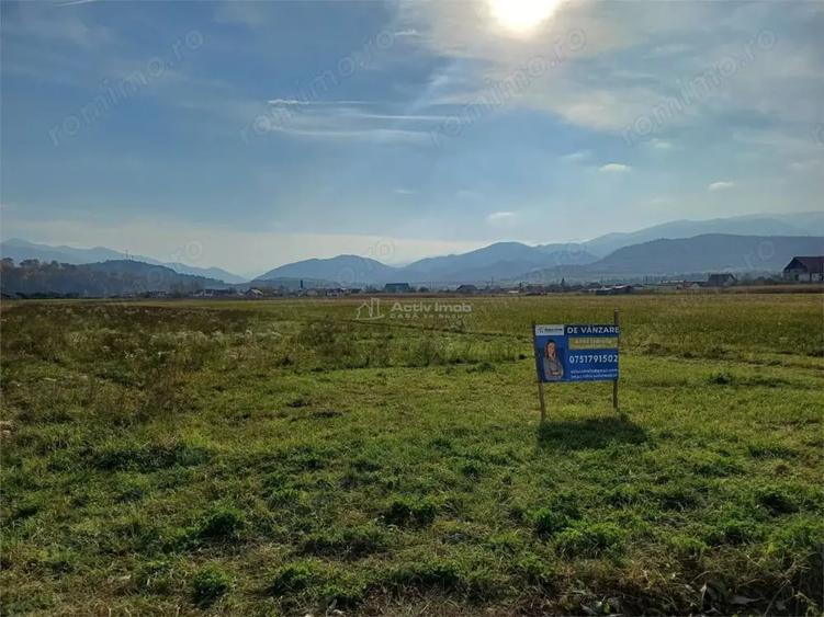 Teren de 10000 mp, în Tălmaciu