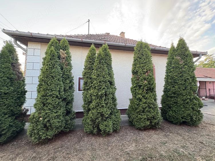 Casă cu 3 camere cu Teren 1500 Mp în Borș