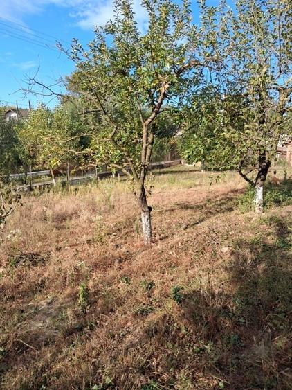 Teren Construcții intravilan de 750 mp, în Cocorăștii Mislii