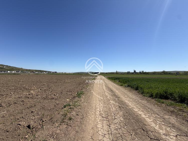Teren extravilan de 2900 mp, în Sânnicoară