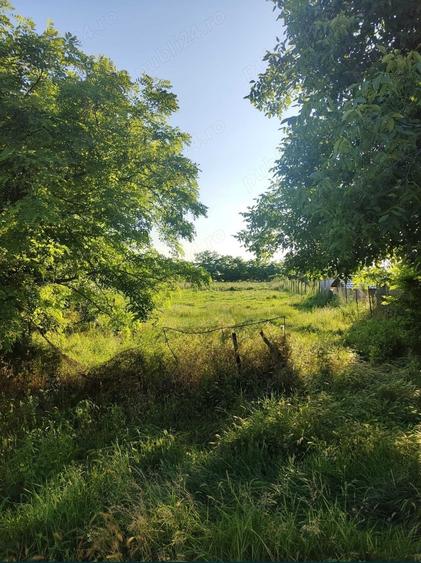 Teren de 1100 mp, în Bazoș