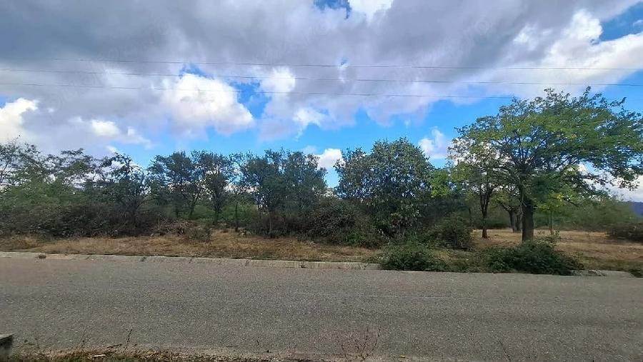 Casă cu 5 camere cu Teren 3313 Mp în Hodiș
