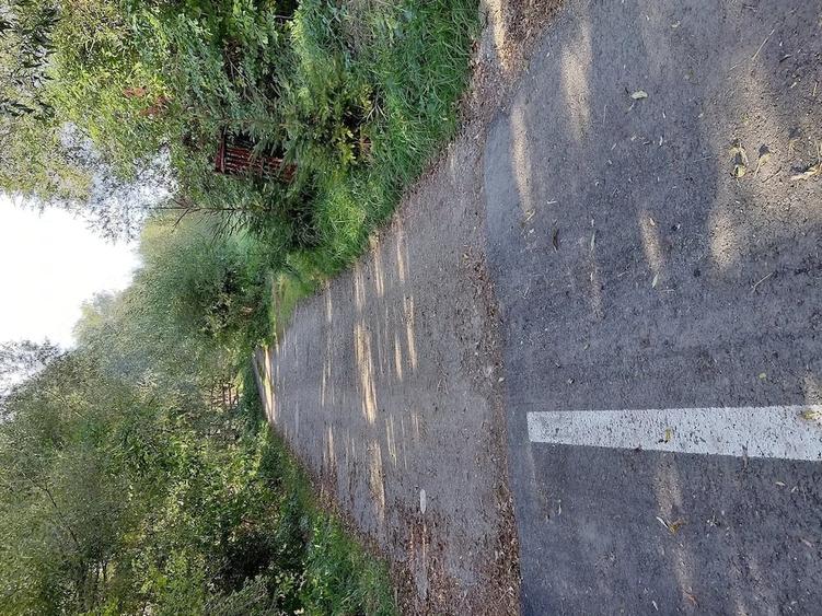 Teren de 4500 mp, în Stupinii Prejmerului