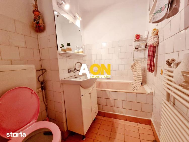 Apartament cu 2 camere în Ampoi 3