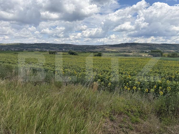 Teren Construcții intravilan de 11500 mp, în Bobota