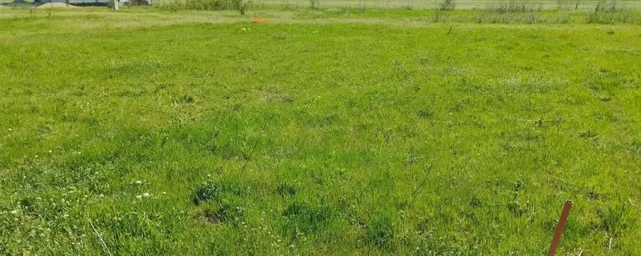 Teren de 425 mp, în Tărtășești