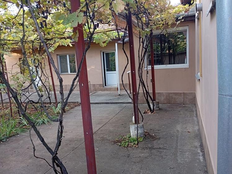 Proprietar vand casa cu713m teren in Calea Lipovei pe str ion Roata nr51 cu 4camere 2 bai si 2 bucatari camera tehnica , camara si garaj - 5