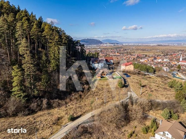 Teren de 1000 mp, în Poiana Angelescu