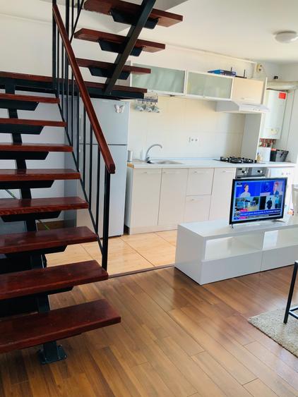 Apartament 2 Camere Duplex Elegant 2 Niveluri Luminos cu Centrala Bucuresti Sector 3 - 3